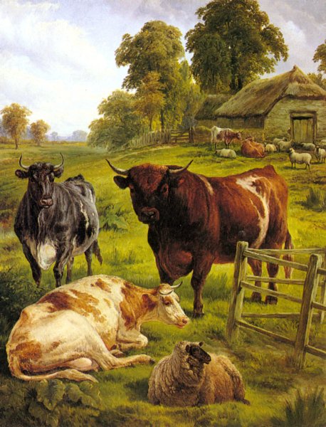 A Pedigree Bull by Charles Jones - Hand-Painted Oil Painting Reproduction