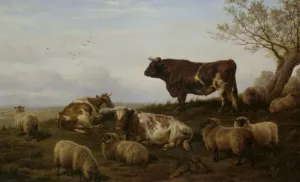 Cattle and Sheep Resting by Charles Jones Oil Painting