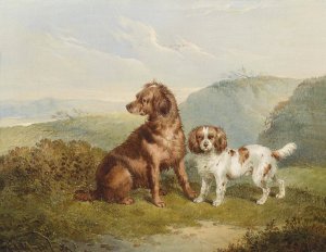 Two Dogs by Charles Jones Oil Painting