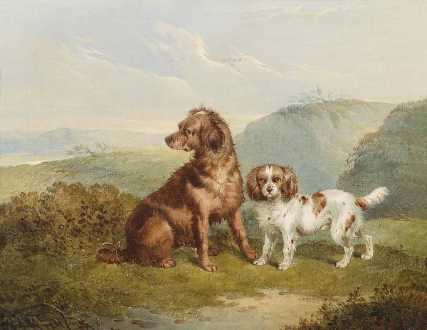 Two Dogs  by Charles Jones - Hand-Painted Oil Painting Reproduction