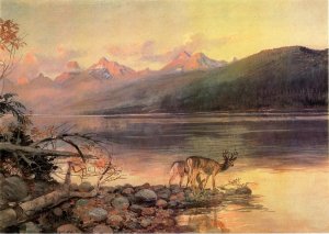 Deer at Lake McDonald by Charles Marion Russell Oil Painting