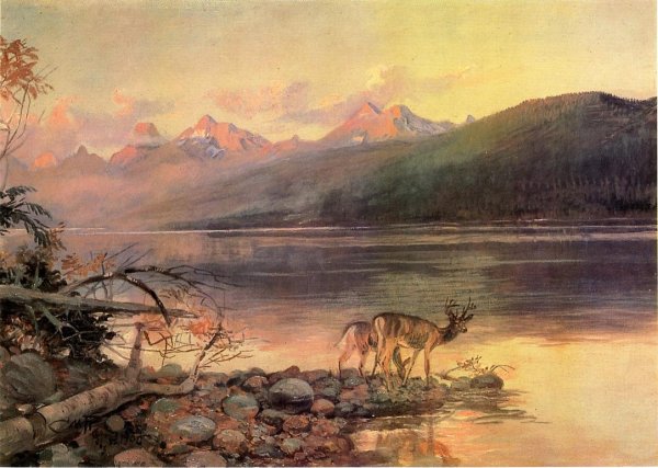 Main Product Photo of Deer at Lake McDonald Painting by Charles Marion Russell