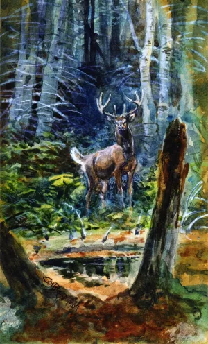 Deer in the Dell by Charles Marion Russell Oil Painting