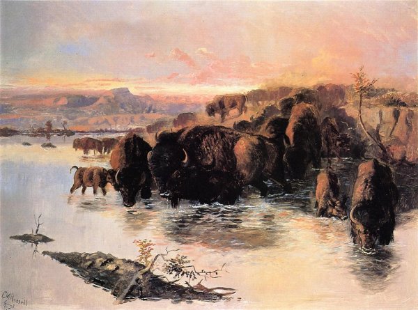 Main Product Photo of The Buffalo Herd Painting by Charles Marion Russell