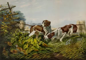 American Field Sports. 'On a Point.' by Charles Parsons Oil Painting