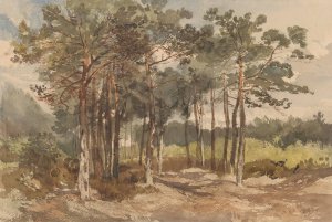 Boomgroep in de bossen bij Driebergen by Charles Rochussen Oil Painting