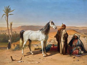 An Arabian In The Desert by Charles Tschaggeny Oil Painting
