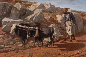 Plough Ox and Mule with Fellah by Charles Verlat Oil Painting