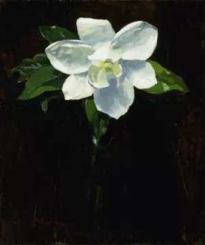 Magnolia by Charles Walter Stetson Oil Painting