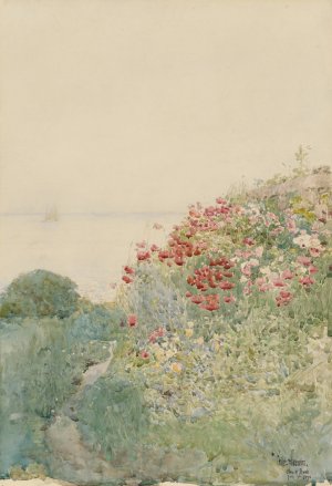 Field of Poppies, Isles of Shoals by Childe Hassam Oil Painting