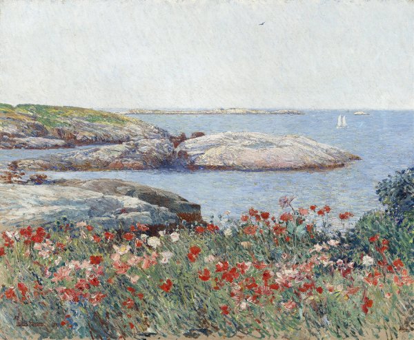 Poppies,Isles of Shoals  by Childe Hassam - Hand-Painted Oil Painting Reproduction