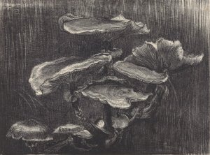 Paddenstoelen by Chris Lebeau Oil Painting