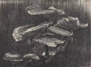 Paddenstoelen by Chris Lebeau Oil Painting