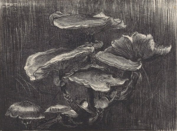Paddenstoelen  by Chris Lebeau - Hand-Painted Oil Painting Reproduction