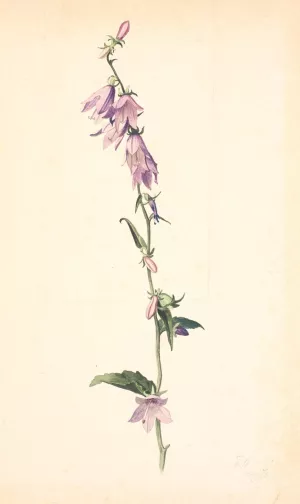 Campanula by Christen Dalsgaard Oil Painting