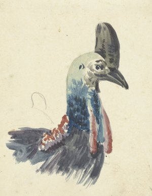 Kop van de Kasuaris by Christiaan Van Geelen Oil Painting