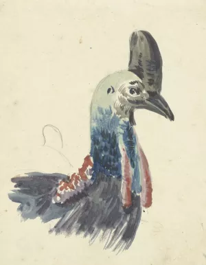 Kop van de Kasuaris by Christiaan Van Geelen Oil Painting