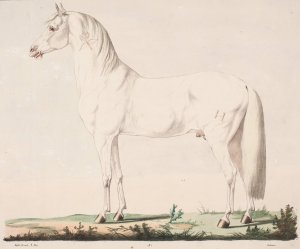 Hesten Springer by Christian David Gebauer Oil Painting