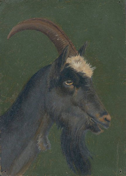 Goat head by Christian Friedrich Gille - Hand-Painted Oil Painting Reproduction