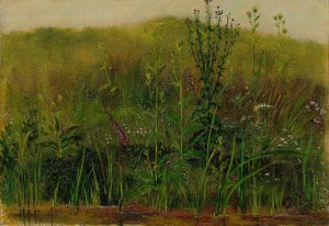 Plants on the bank by Christian Friedrich Gille Oil Painting