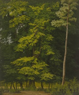 Broadleaf forest by Christian Heerdt Oil Painting