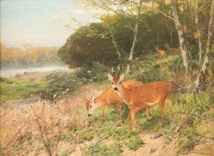 Red deer on a forest clearing by Christian Kroner Oil Painting