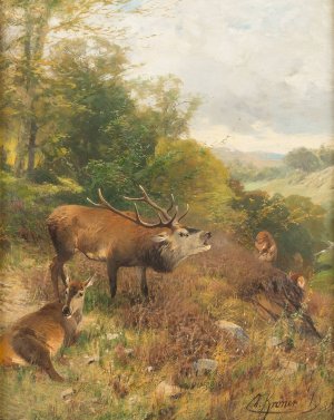 Roaring Stag by Christian Kroner Oil Painting