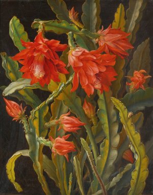 Christmas Cactus by Christian Mollback Oil Painting