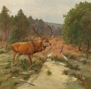 Ein Hirsch auf der Waldlichtung by Christoffer Drathmann Oil Painting