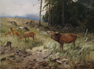 Rohrender Hirsch und Rehe am Waldrand by Christoffer Drathmann Oil Painting
