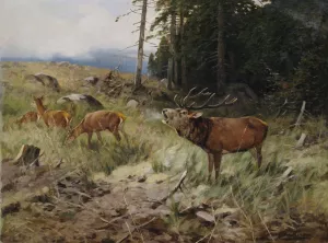 Rohrender Hirsch und Rehe am Waldrand by Christoffer Drathmann Oil Painting