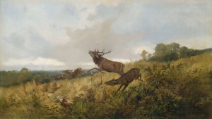 Rotwild in herbstlicher Landschaft by Christoffer Drathmann Oil Painting