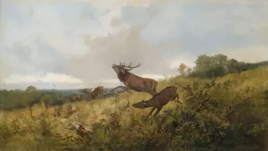 Rotwild in herbstlicher Landschaft by Christoffer Drathmann Oil Painting