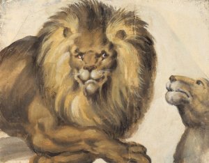 En hanloves forkrop og en hunloves hoved by Christoph Amberger Oil Painting