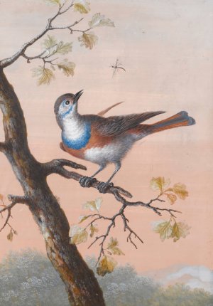 A Bluethroat by Christoph Ludwig Agricola Oil Painting