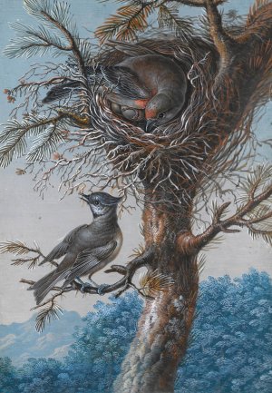 A Greater Redpoll And A Crested Tit by Christoph Ludwig Agricola Oil Painting