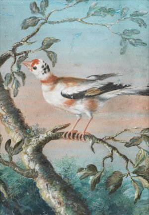 Ein Vogel Auf Einem Ast by Christoph Ludwig Agricola Oil Painting