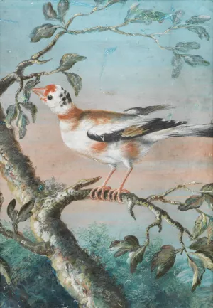 Ein Vogel Auf Einem Ast Oil painting by Christoph Ludwig Agricola
