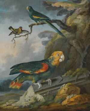A Parrot, A Perroquet And A Gold Finch At The Base Of A Tree by Christophe Huet Oil Painting