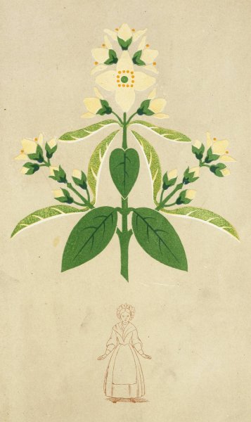 The Art of Decorative Design pl26  by Christopher Dresser - Hand-Painted Oil Painting Reproduction