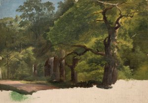 Forest landscape, sketch by Chrystian Breslauer Oil Painting