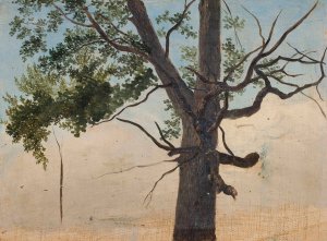 Solitary tree by Chrystian Breslauer Oil Painting