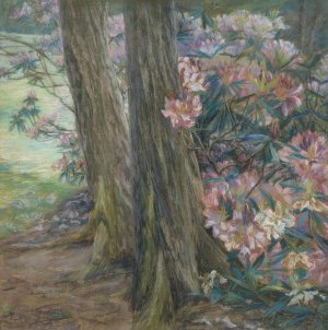 Rhododendronbusch in einem Garten by Clara Voortman Oil Painting