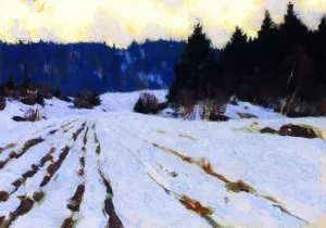 Furrows on the Snow by Clarence Gagnon Oil Painting