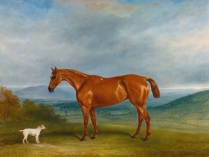 Kathleen by Claude Lorraine Ferneley Oil Painting