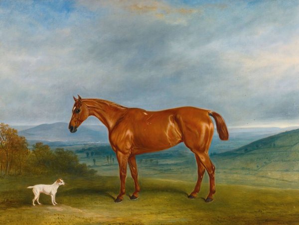 Kathleen  by Claude Lorraine Ferneley - Hand-Painted Oil Painting Reproduction