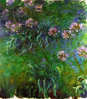 Agapanathus Oil painting by Claude Monet