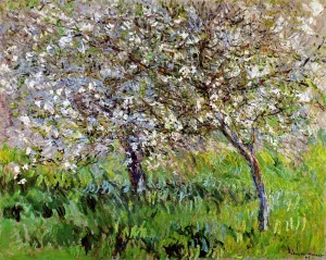 Apple Trees in Bloom at Giverny by Claude Monet - Oil Painting Reproduction
