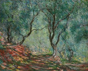 Bois d'oliviers au jardin Moreno by Claude Monet Oil Painting