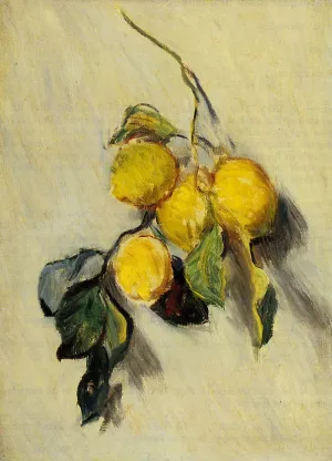Branch of Lemons painting by Claude Monet